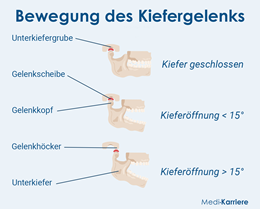 Bewegung des Kiefergelenks Bewegung des Kiefergelenks